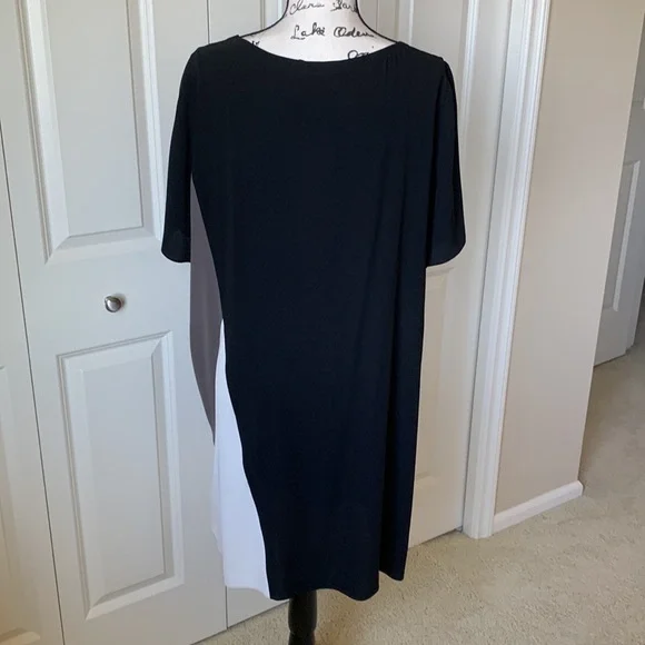 NWT Eileen Fisher 100% Silk Dress, sz XL